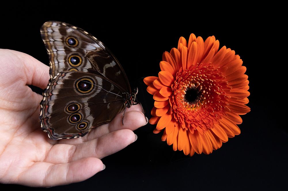 Photograph by Екатерина Каменцева