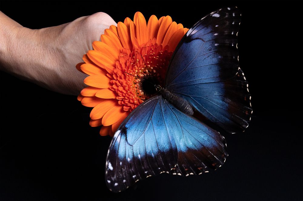 Photograph by Екатерина Каменцева