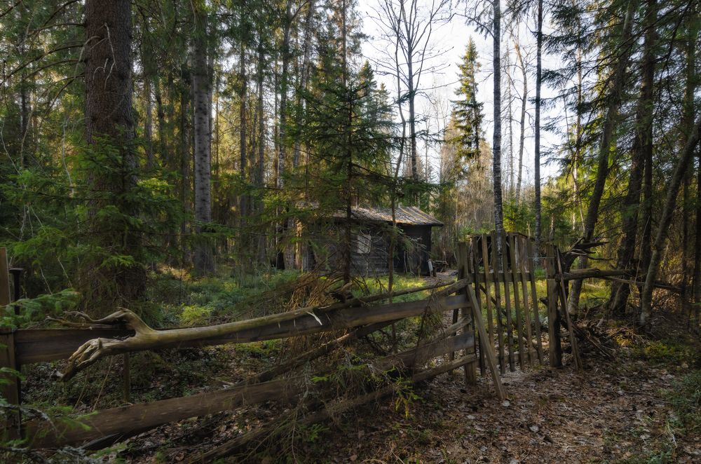 Фотография автора Роман Луночкин