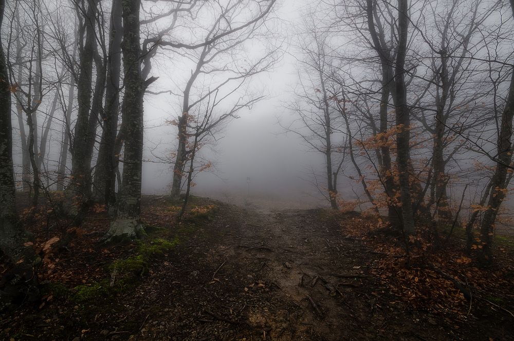 Photograph by Черкасов Сергей