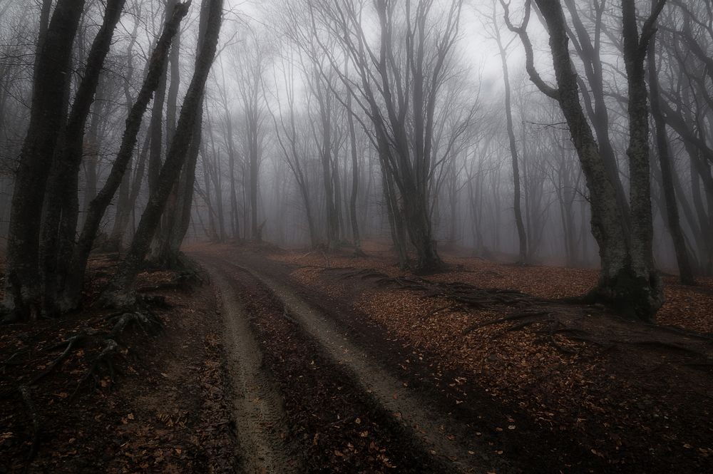 Photograph by Черкасов Сергей