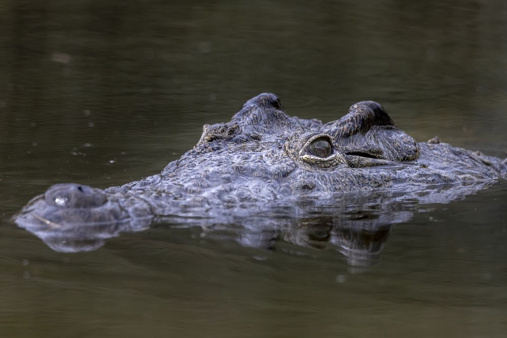 Фотография автора Nikolay Tatarchuk