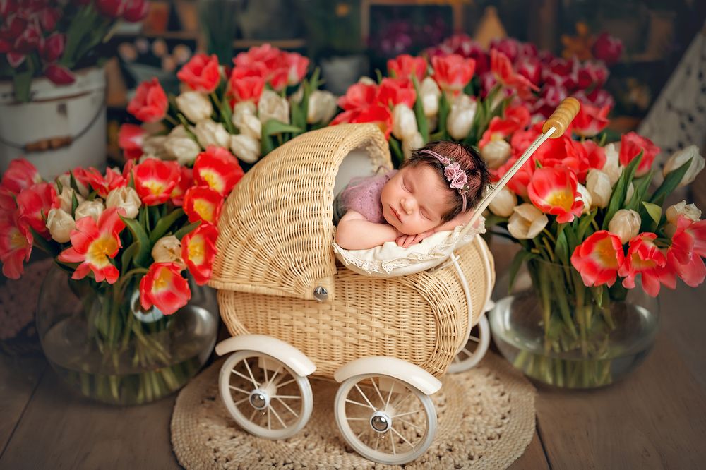 Photograph by Алена Волкова