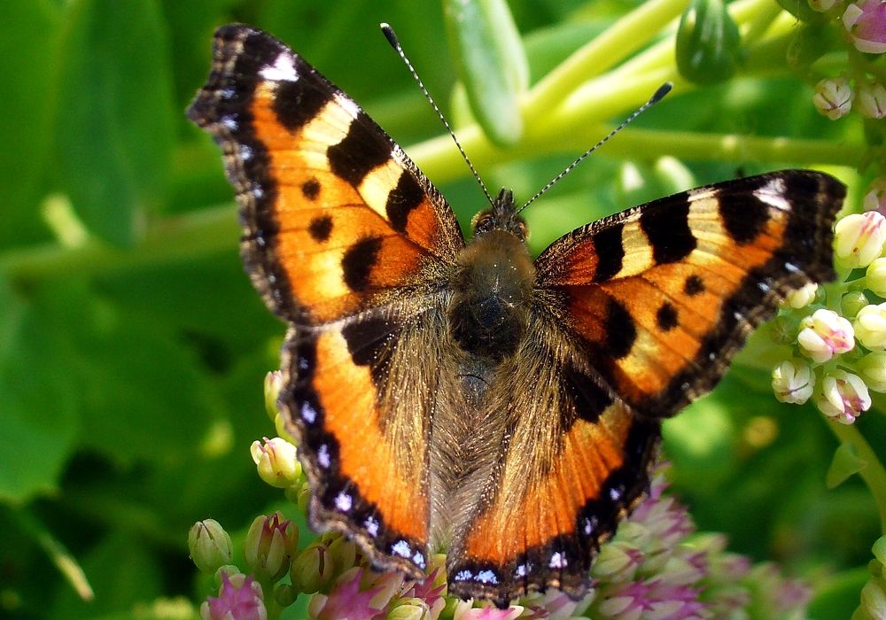 Photograph by Юрий Пучков