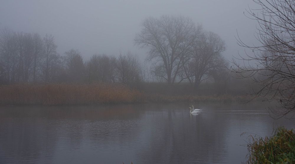Фотография автора Aлексей Игнатьев
