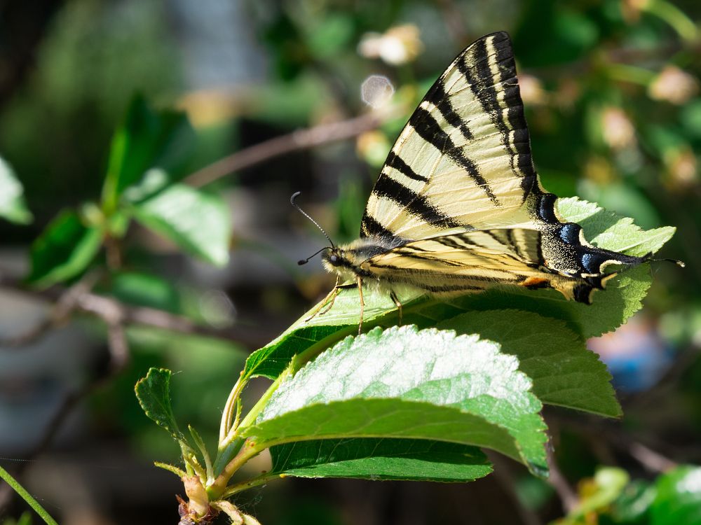 Photograph by Маргарита Ивкова