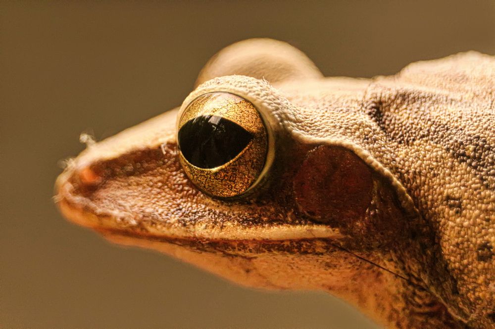 Photograph by Shahariar Alam