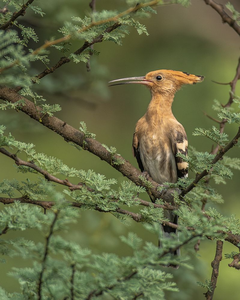 Photograph by Sushmeet Kathuria