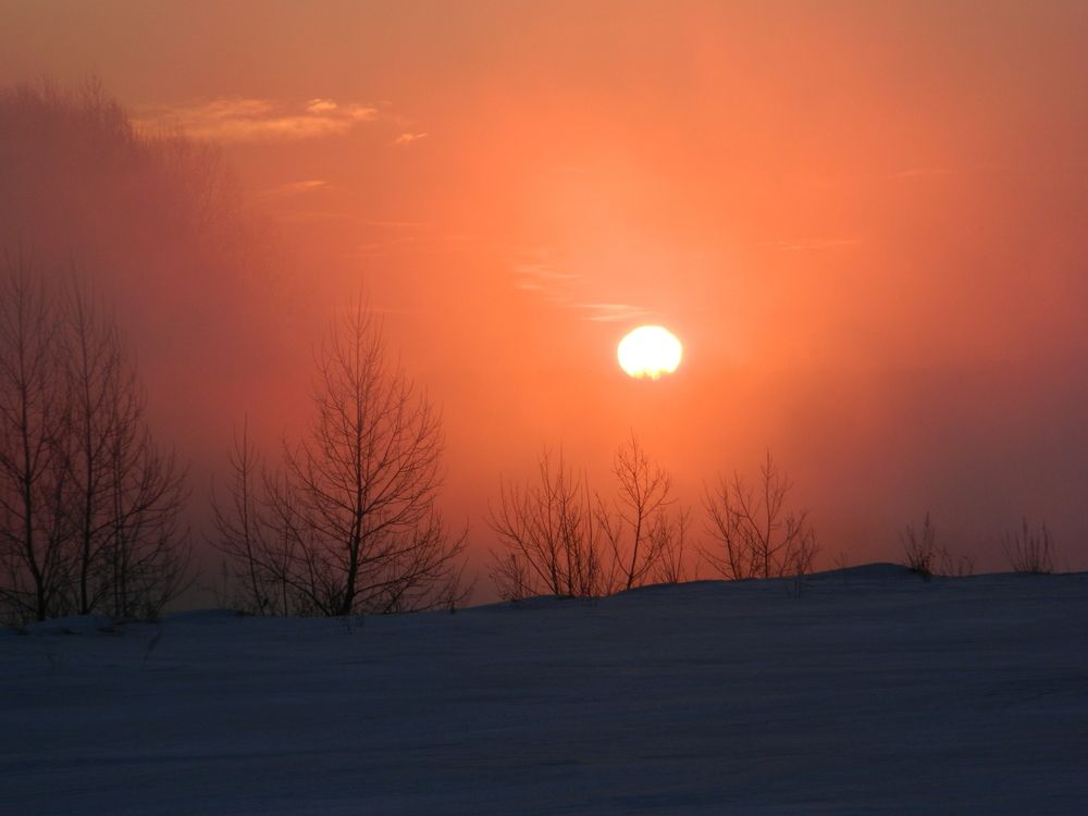 Photo #9168164