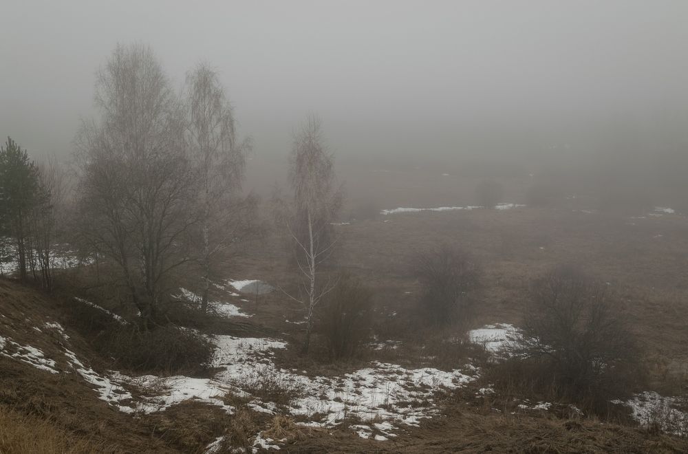 Photograph by Виктор Рыков