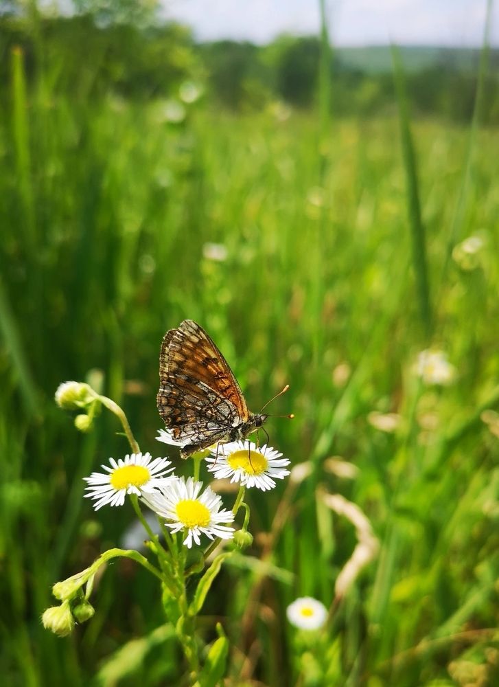 Photograph by Nikolett Mengyi