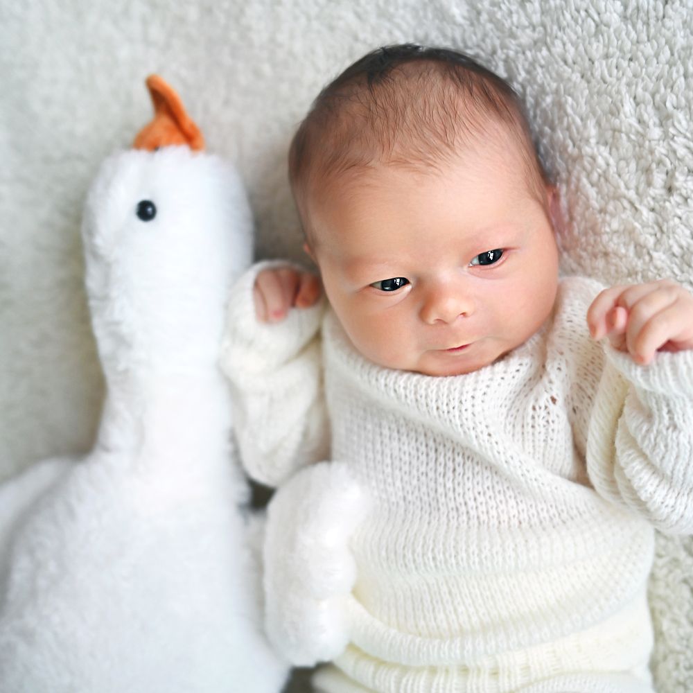 Фотография автора Юлия Дарьина