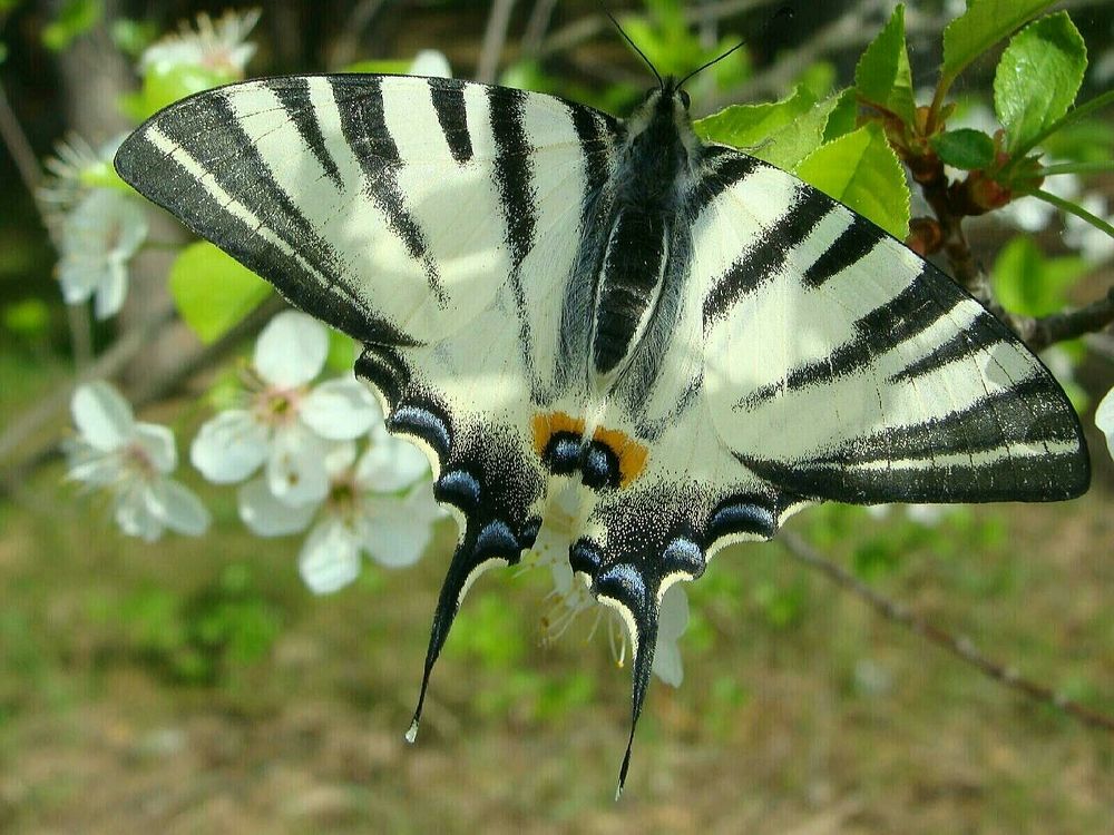 Фотография автора Павел Попов