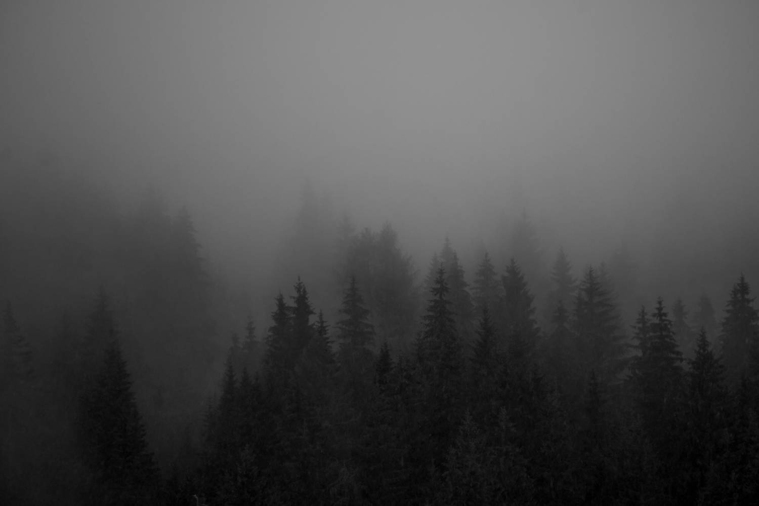 Photo #9168224