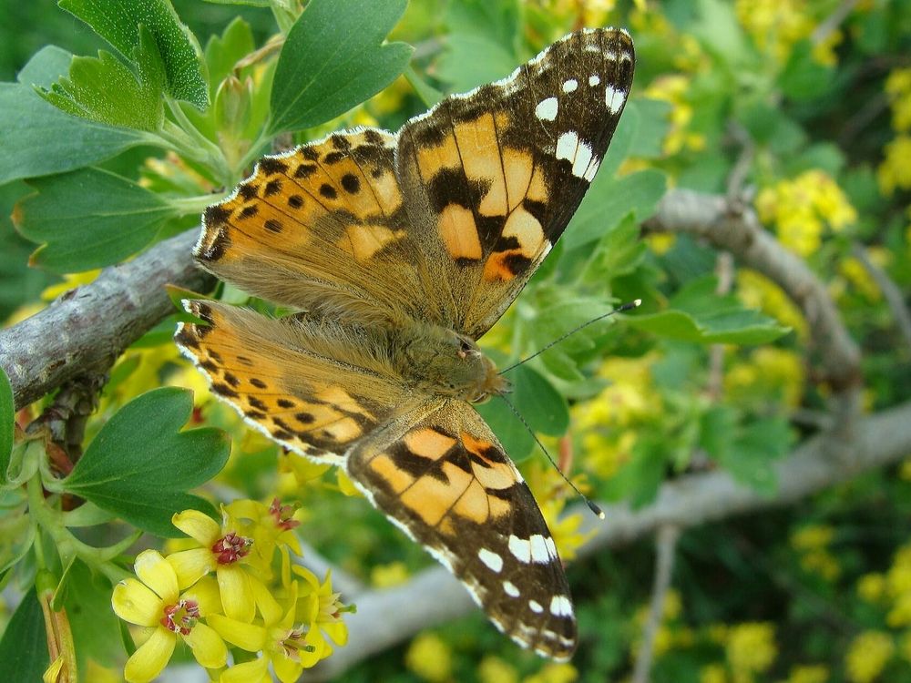 Фотография автора Павел Попов