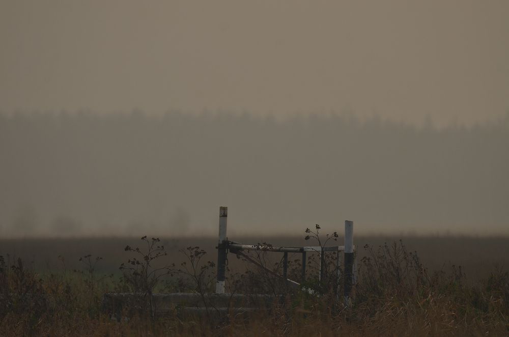 Photograph by Наталья