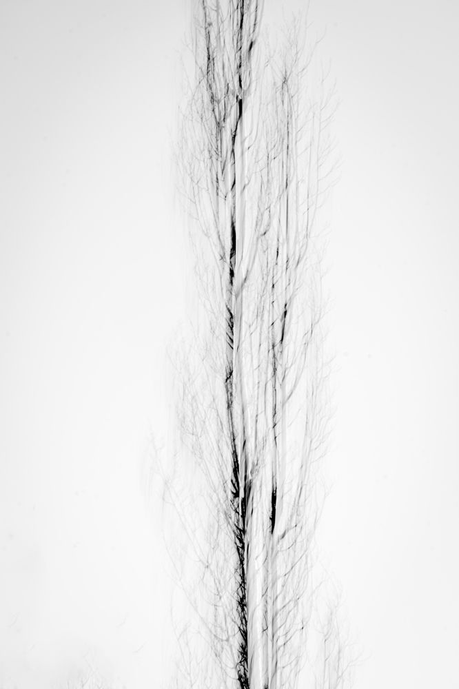 Photograph by Natalia Amir