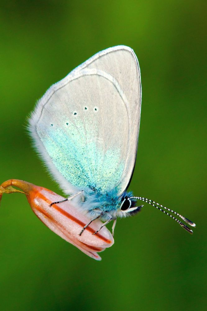 Photograph by Matko Matkovic