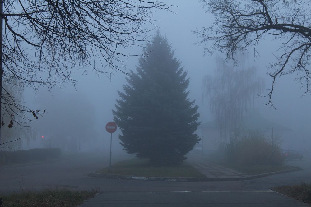 Photograph by Кристина Шоба