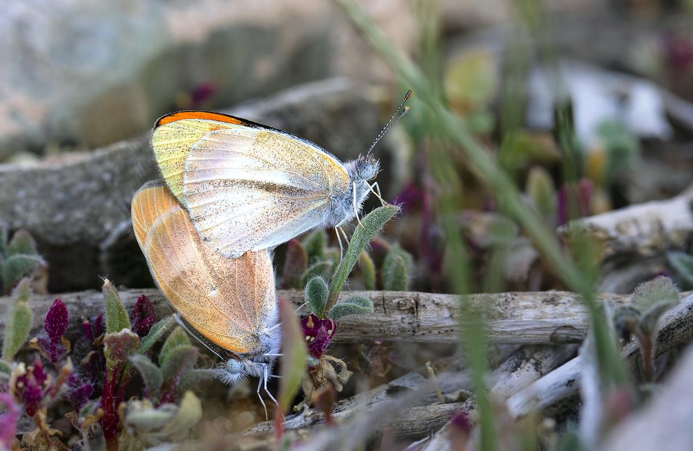 Photograph by ghaniya Almajrafi