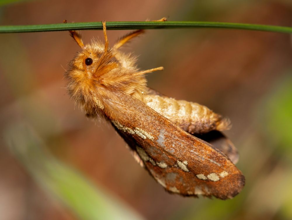 Фотография автора Котов Андрей