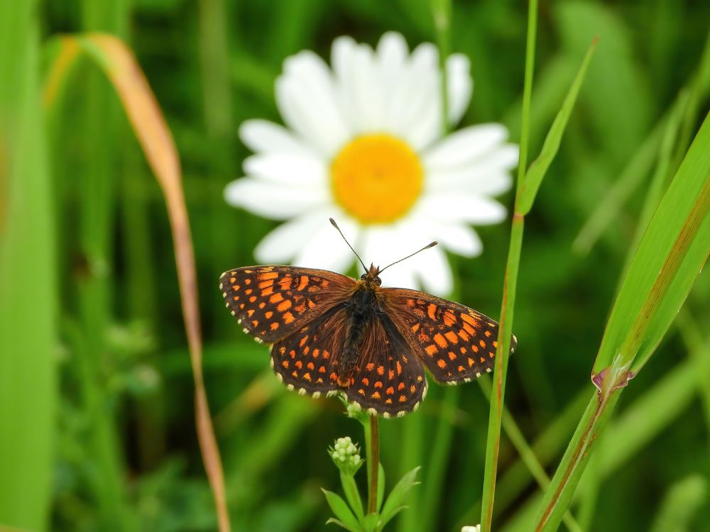 Фотография автора Котов Андрей