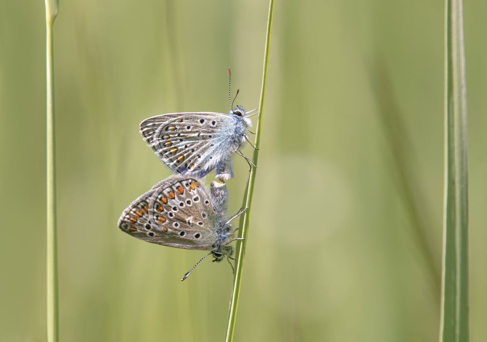 Photograph by Андрей Киселёв