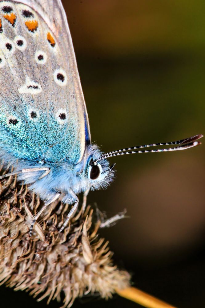 Фотография автора Котов Андрей