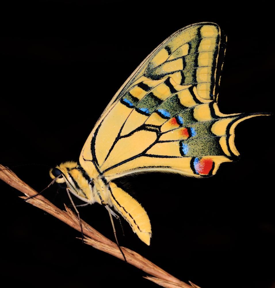 Photograph by Dany Natapov