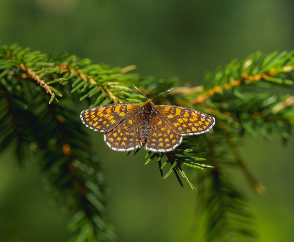 Photograph by Evgeniy Prokoptsov