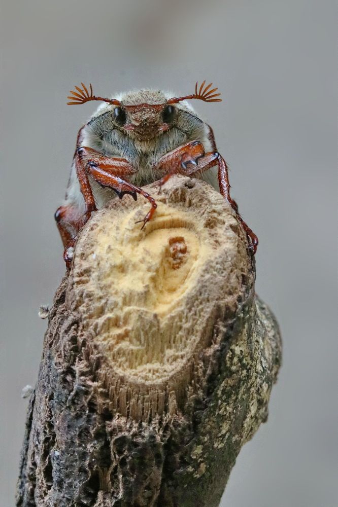 Photograph by Игорь Осипов