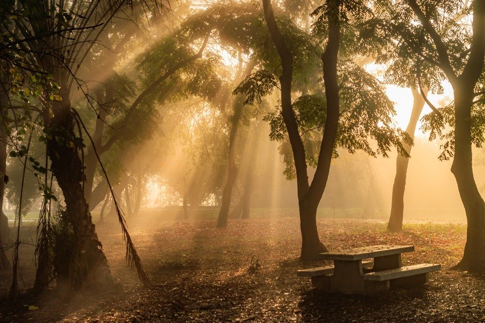 Photograph by Dany Natapov