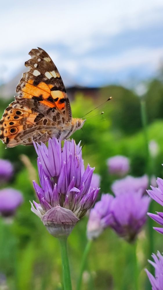 Photograph by Екатерина Ботникова