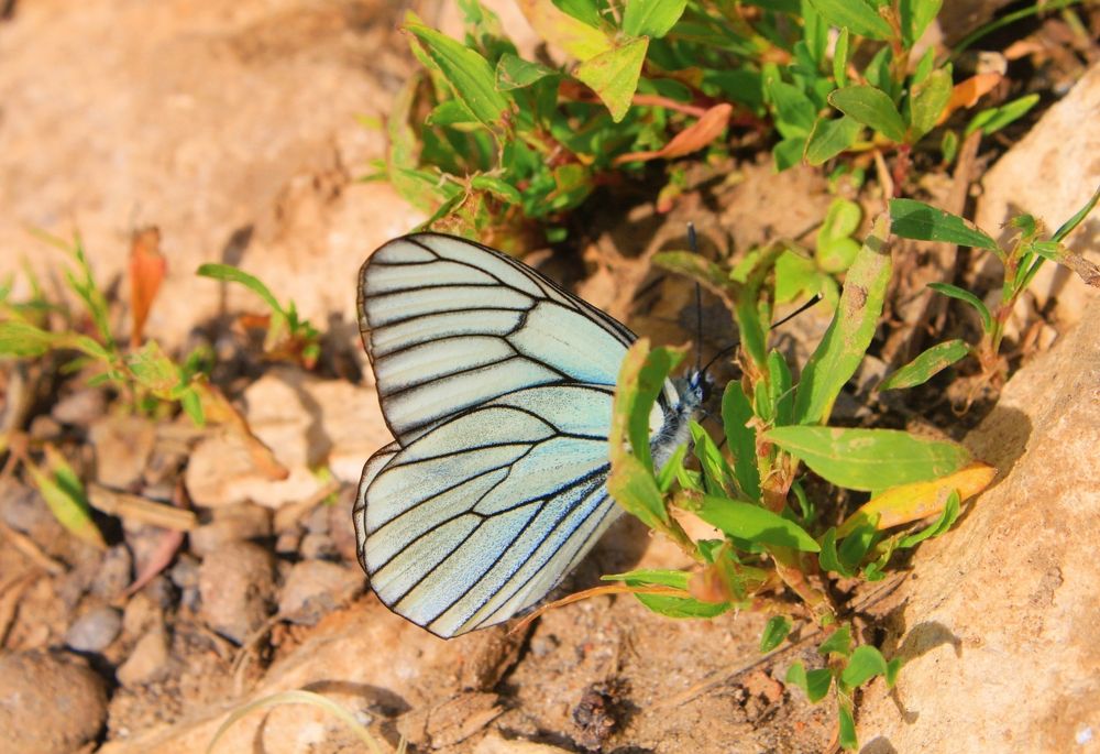 Photograph by Светлана Сафонова