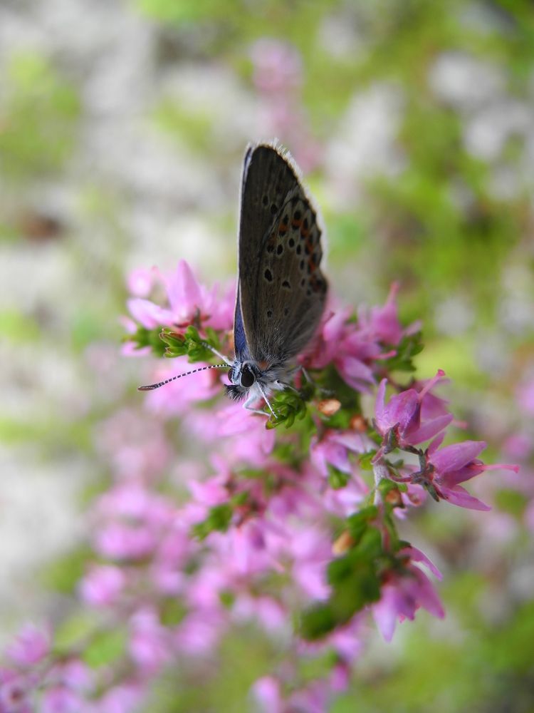 Photograph by Андрей Головин