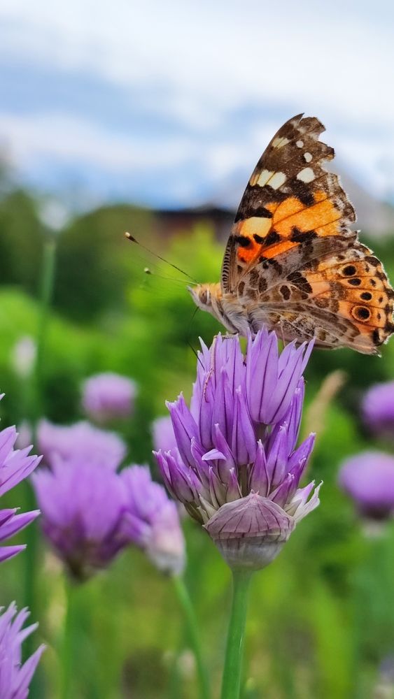 Photograph by Екатерина Ботникова