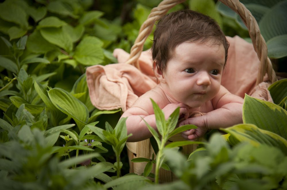 Photograph by Tatiana Troitskaya