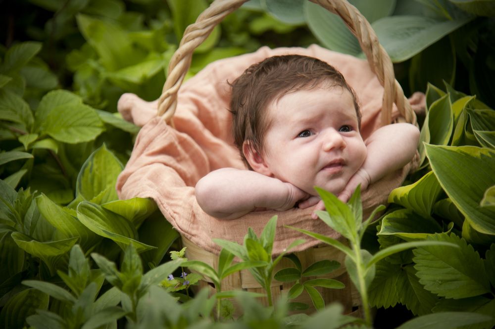 Photograph by Tatiana Troitskaya