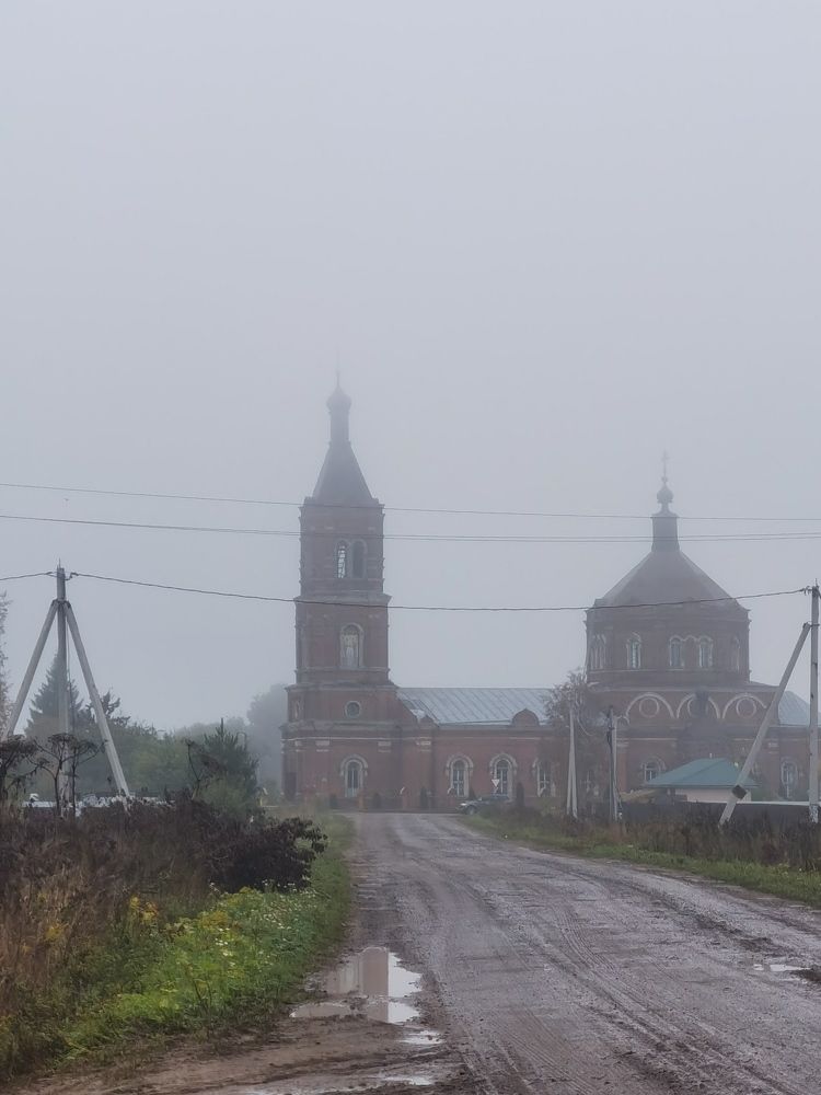Фотография автора Ольга Феофанова