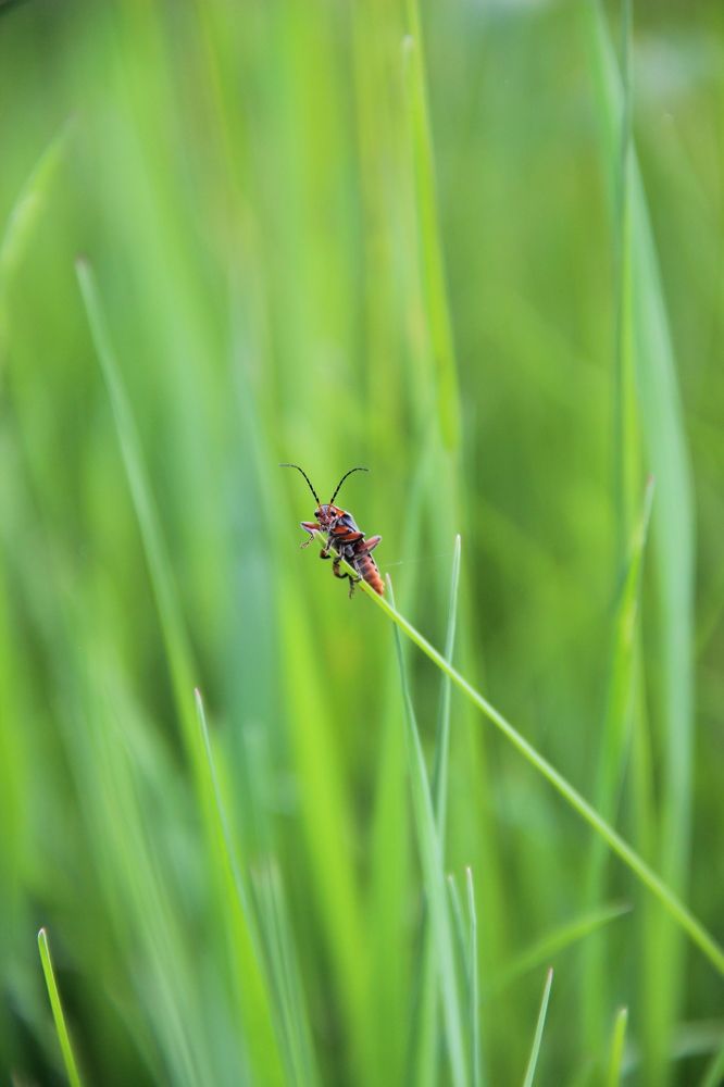 Photograph by Анна Федотова