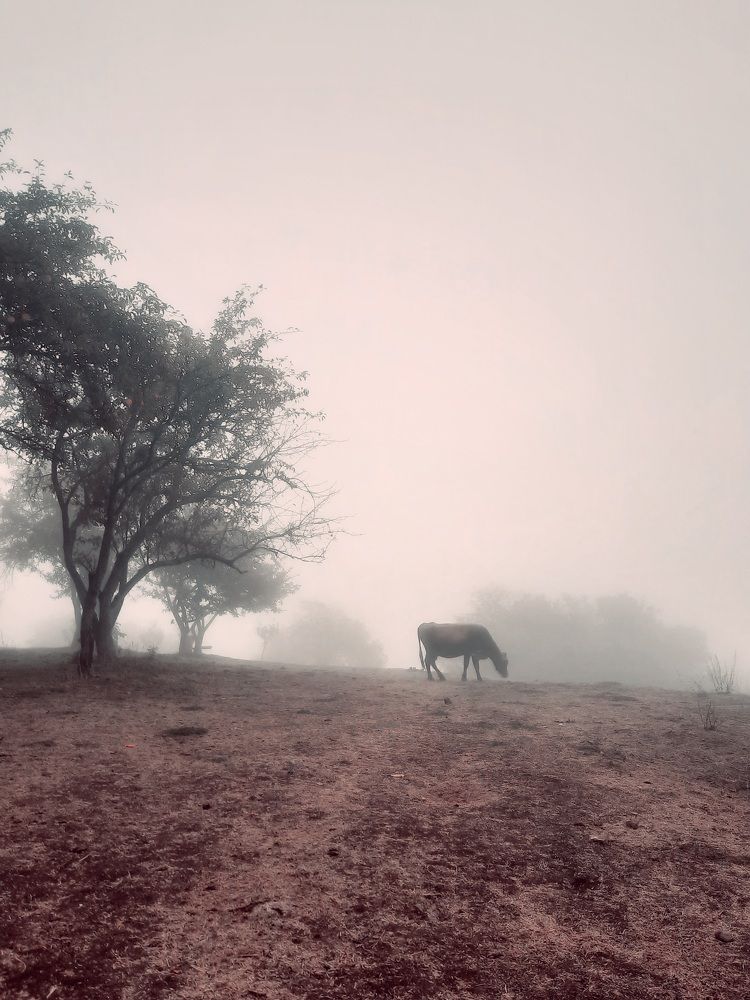 Photograph by Татьяна