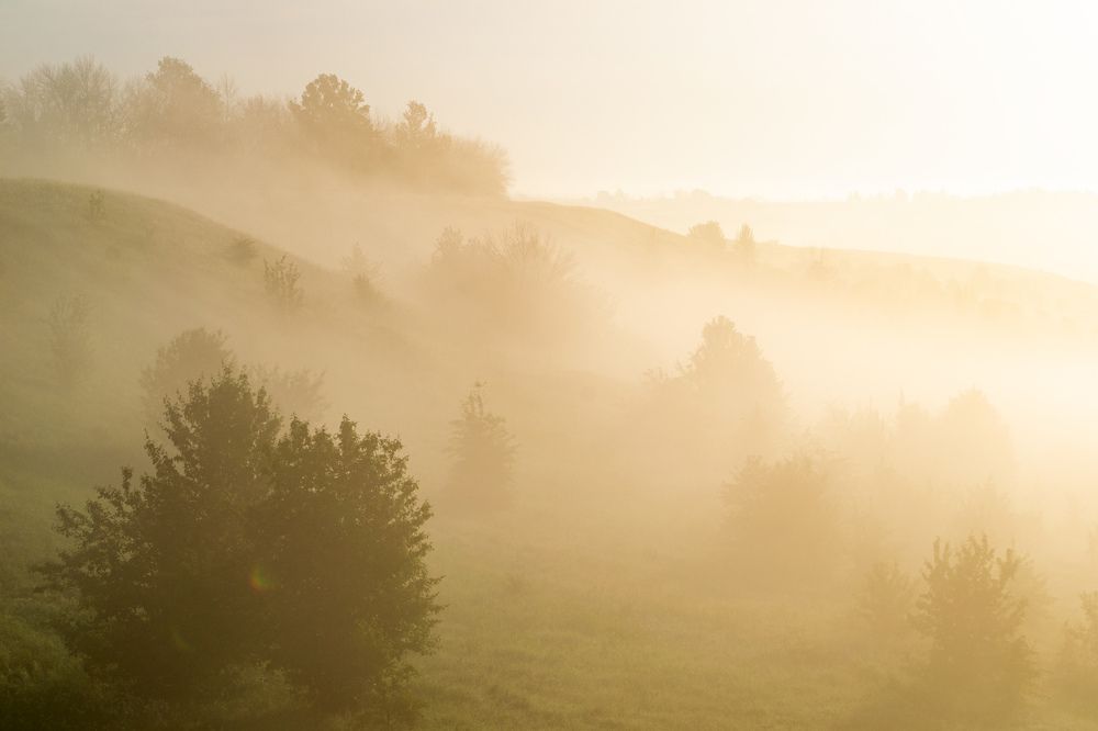 Photograph by Владимир Желтов