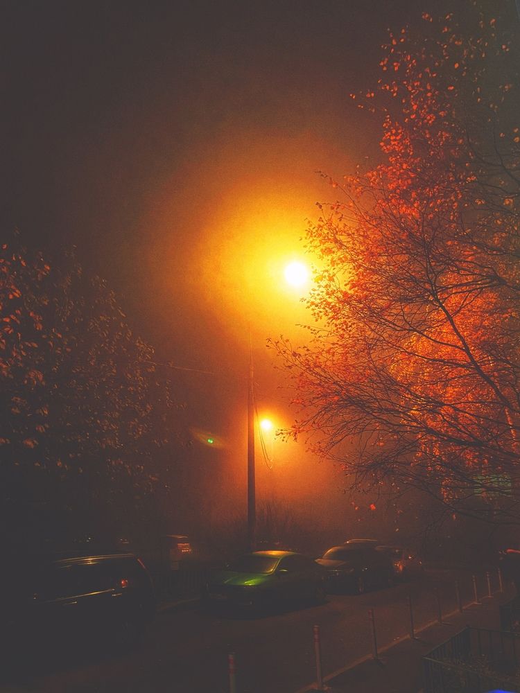 Фотография автора Lana Cardi