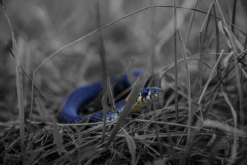 Photograph by Данила Черных