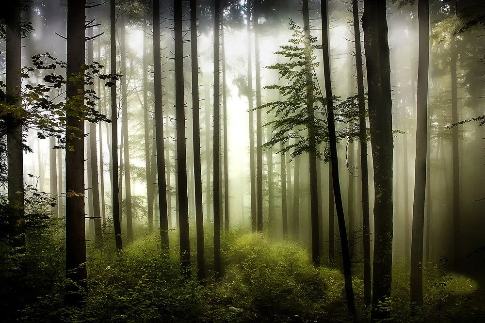 Photograph by Milan Gabarić