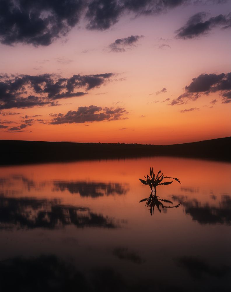 Фотография автора Олег Сухенко