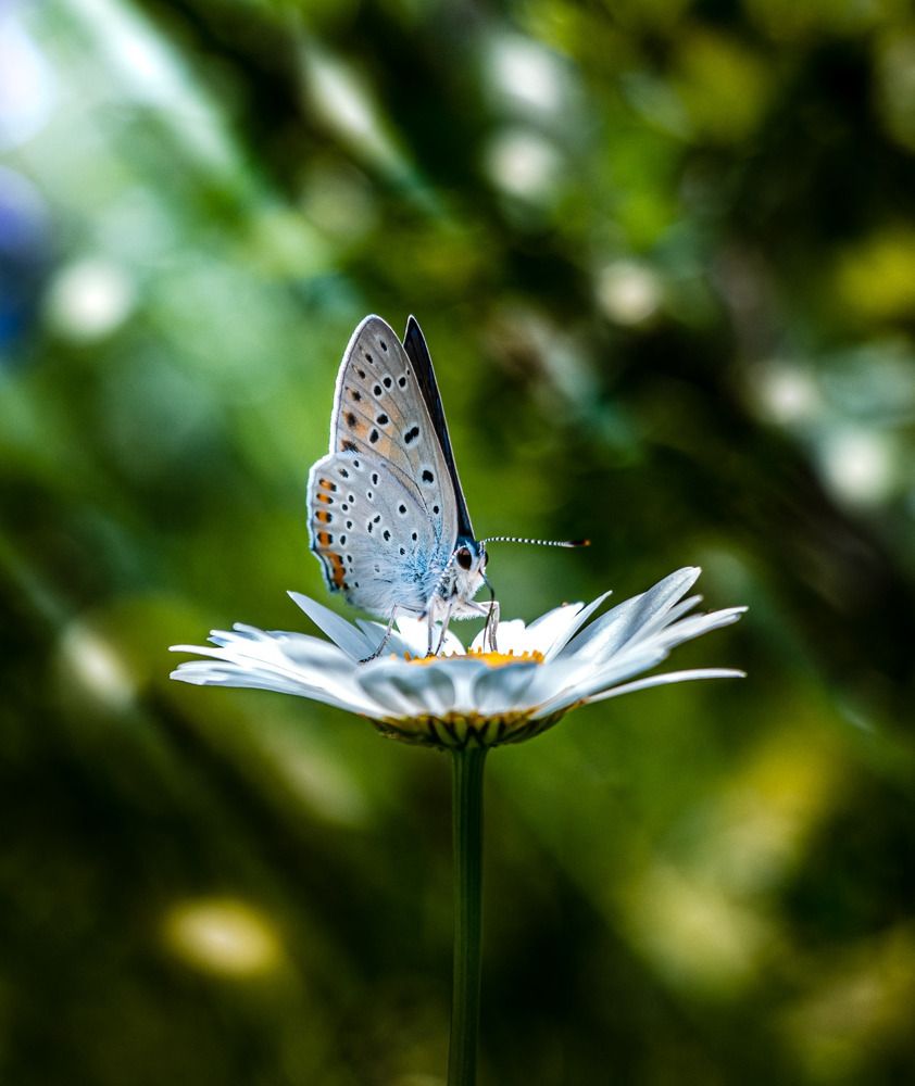 Photograph by Данила Черных