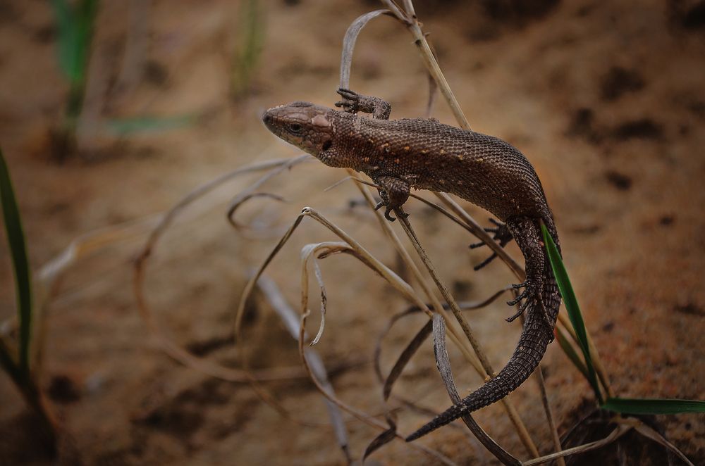 Photograph by Наталья Золотарева