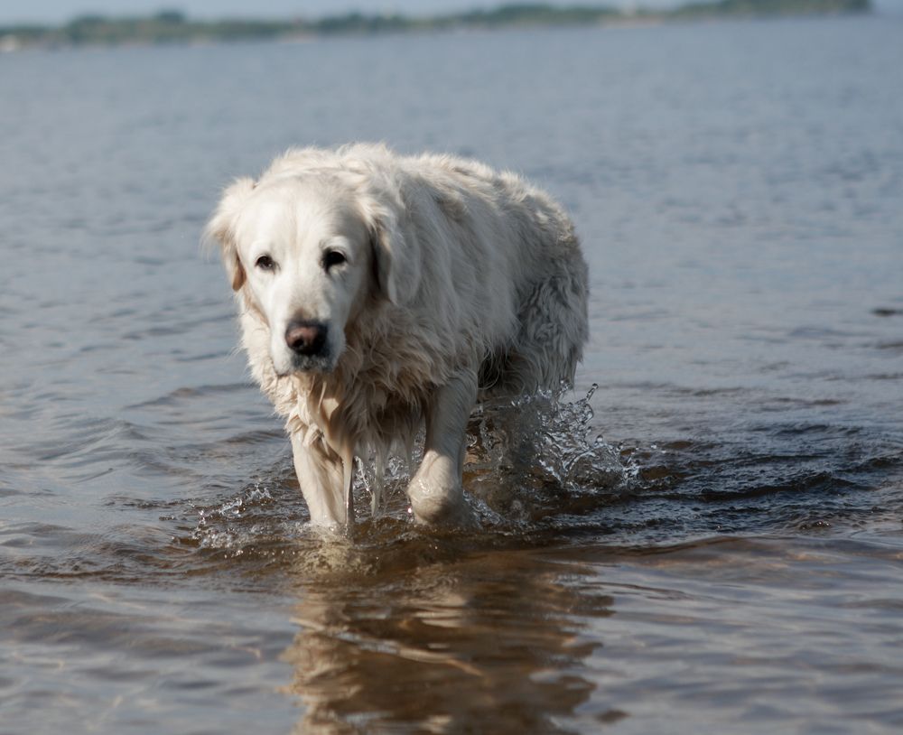 Photograph by Елена Глуховкина