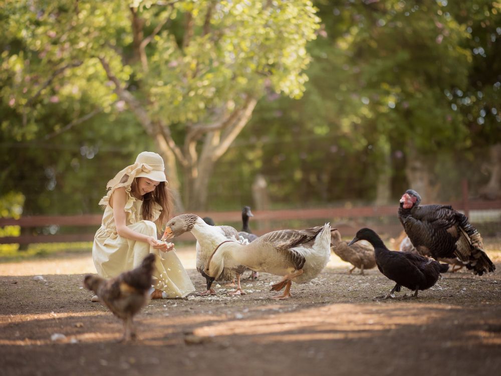 Photograph by Tatjana Filonenko